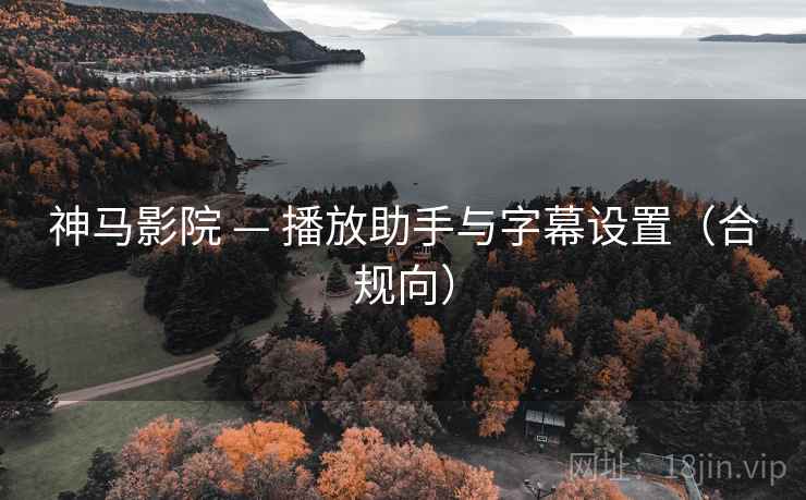 神马影院 — 播放助手与字幕设置（合规向）