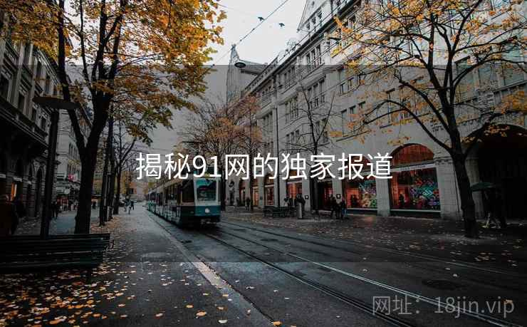 揭秘91网的独家报道