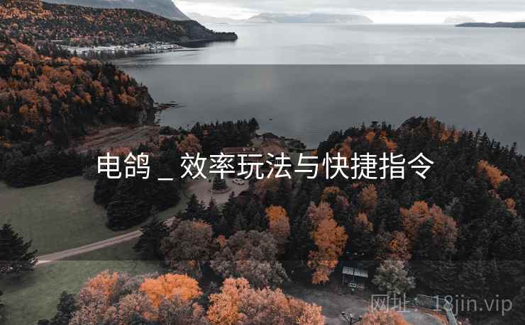 电鸽 _ 效率玩法与快捷指令