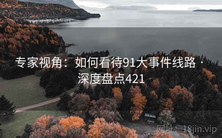 专家视角：如何看待91大事件线路 · 深度盘点421