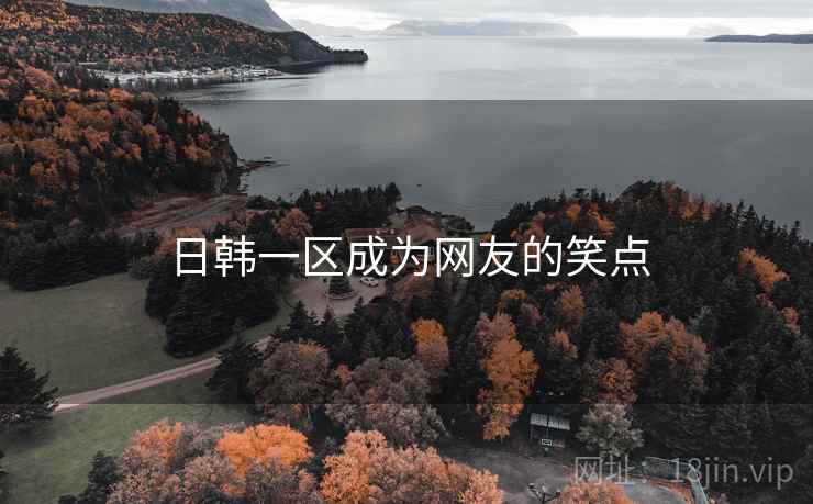 日韩一区成为网友的笑点