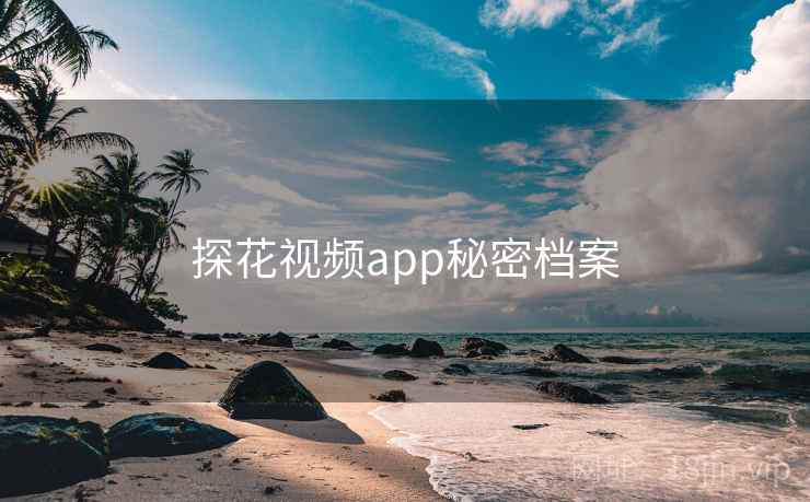 探花视频app秘密档案